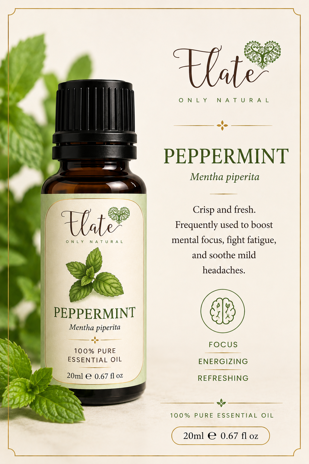 Peppermint Essential Oil